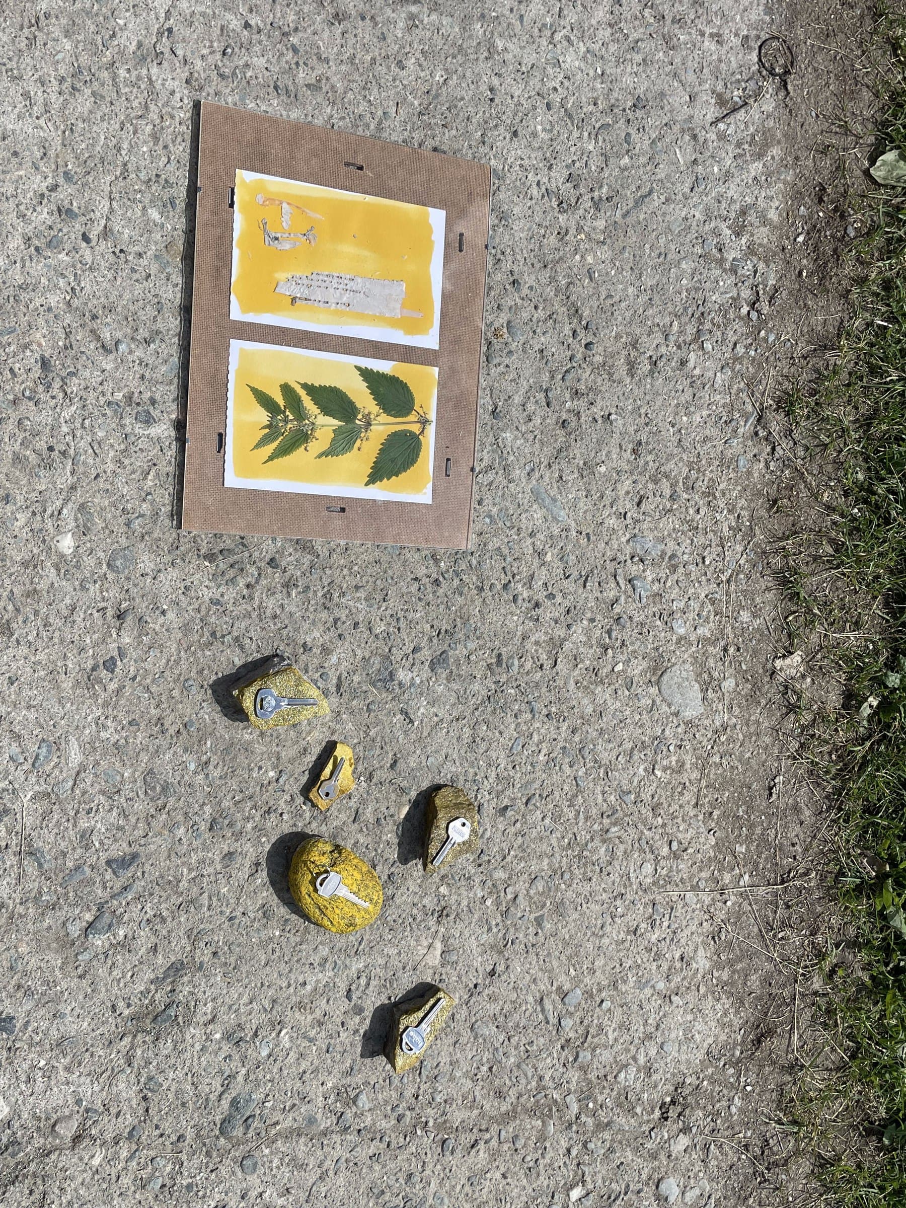 A wooden frame with two yellow cyanotype prints lying on pavement, one showing faint figures and text and the other a pressed plant, with five small stones painted yellow and each pressed with a single silver key scattered on the ground below