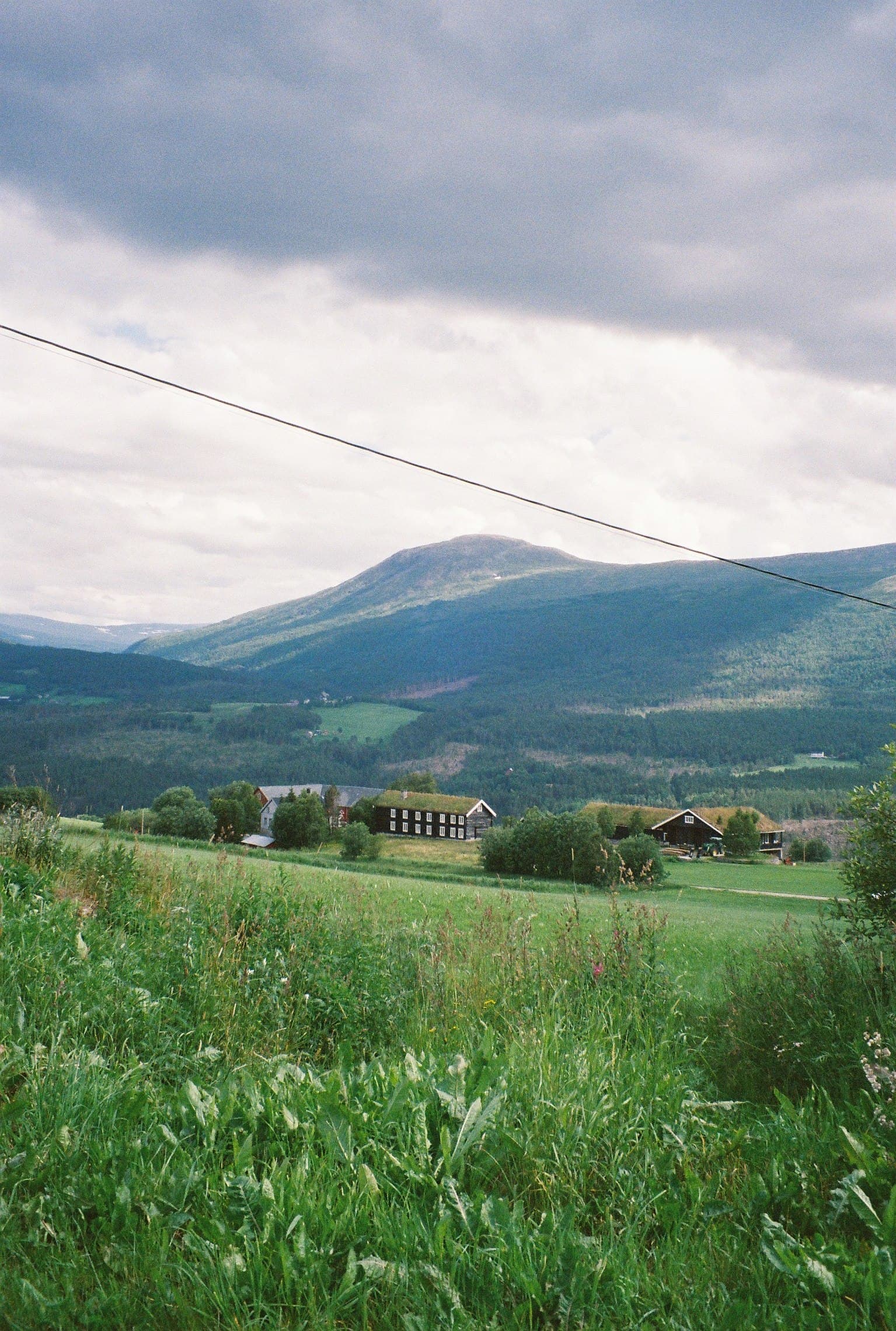 A view over a wildflower meadow across the Oppdal valley, looking toward a cluster of traditional turf-roofed farm buildings with forested mountains behind.