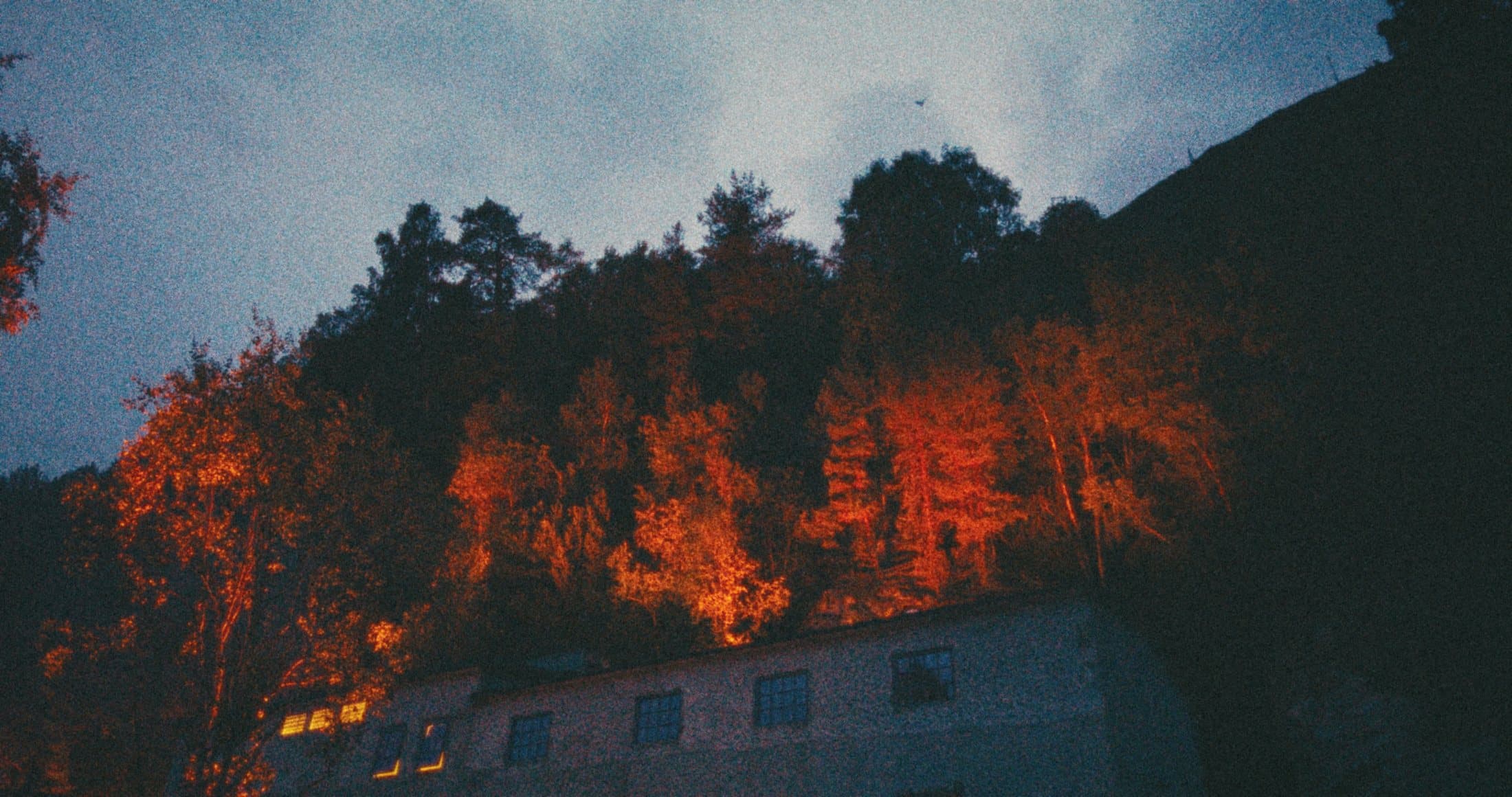 The trees above the power station lit orange at night.