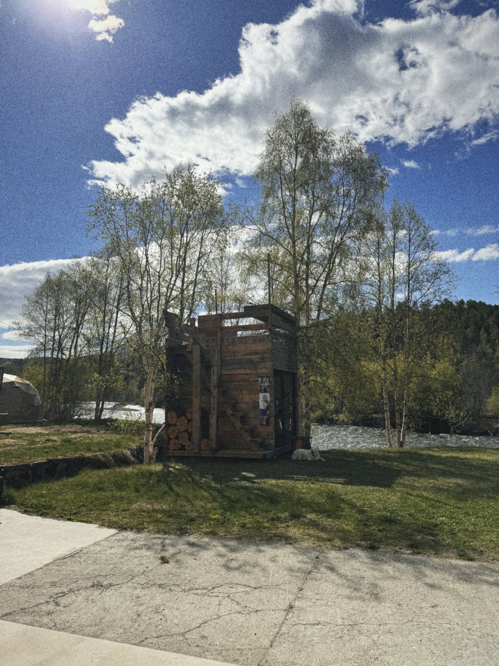 A small wooden hut among birch trees under a bright sky.
